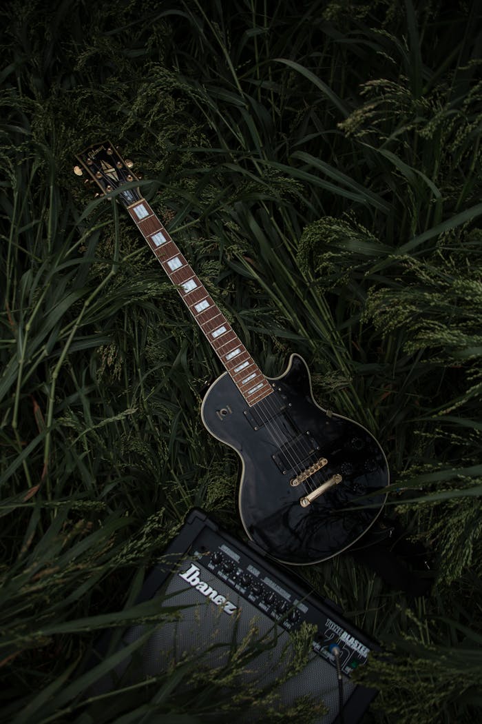 why-choose-us A black electric guitar rests in a lush meadow beside an Ibanez amplifier.